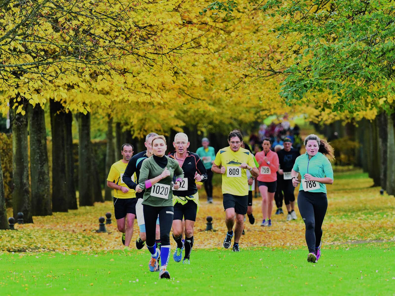 Run image