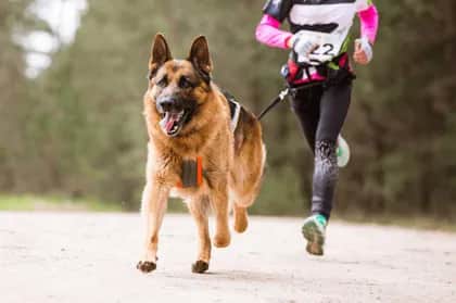 Run image